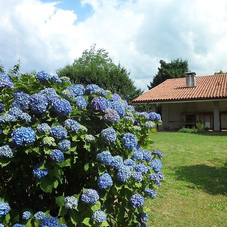 B&B Cuei Di Baret Tricesimo Buitenkant foto