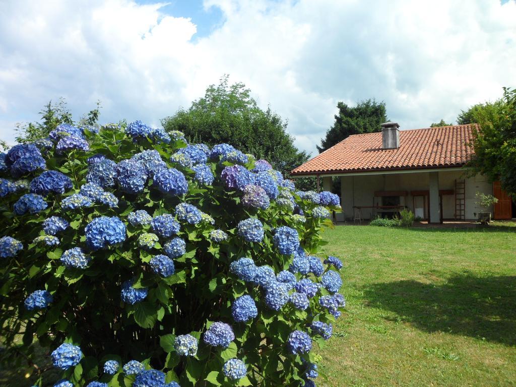 B&B Cuei Di Baret Tricesimo Buitenkant foto