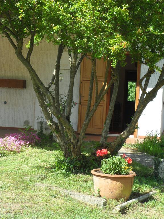 B&B Cuei Di Baret Tricesimo Buitenkant foto